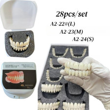 Dental DIY Dentures False Teeth Flexible Acrylic Resin Teeth A2-#22/#23/#24