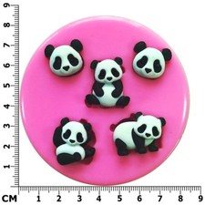 Cute Big Eyed Panda Bears