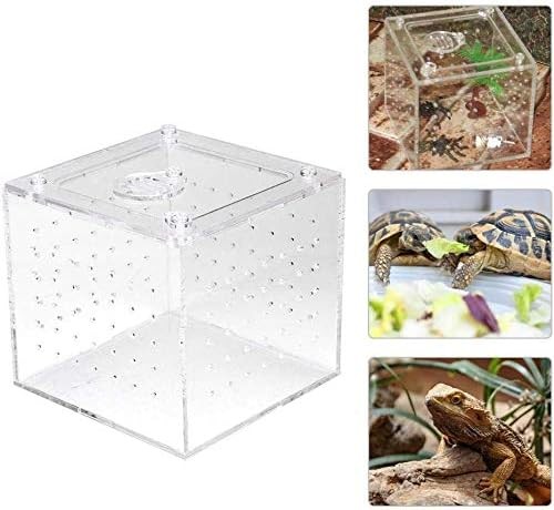 Acrylic reptile breeding box - acrylic,