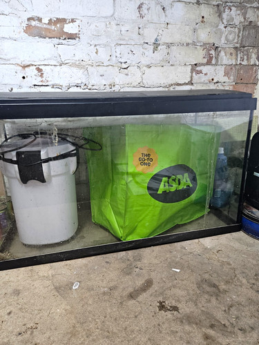 Standard rectangle glass - standard,