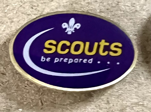 Scouting pin badges - pin,