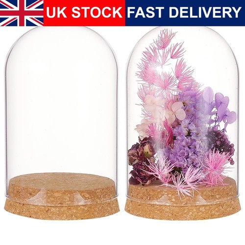 Glass display dome cork - glass,