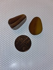 2 medium Pieces Of Genuine