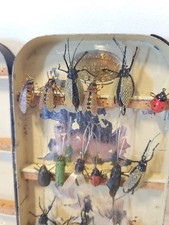Charles Farlow Strand Vintage Insect Lures In Vintage Box 1920s- 1930s