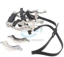 Equine Dental Millenium