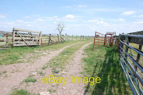 Photo 6x4 holding area with - photo,