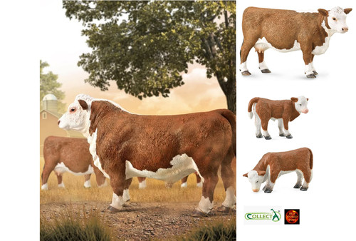 Hereford cattle bull cow - cattle,