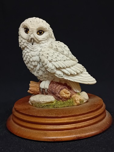 Leonardo nature studies - leonardo,