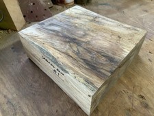 Spalted Elm Bowl Blank Wood