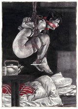 Domina Girl Female art Passion of Femdom femmina dominant collection 337