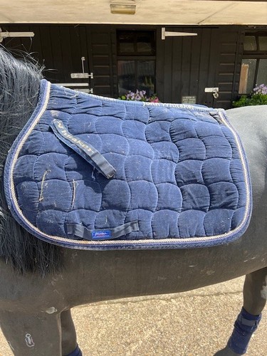 John whitaker saddle pad - whitaker,