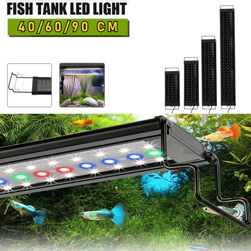 90cm aquarium fish - aquarium,