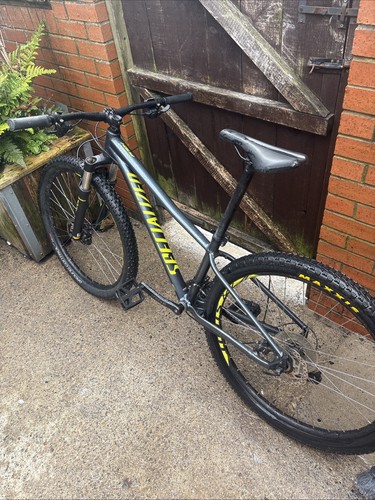 Specialized pitch expert - expert, 2019