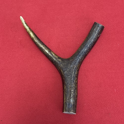 One piece deer antler - piece, of