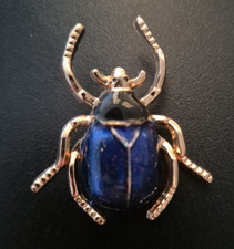 Blue Stag Beetle Brooch pin