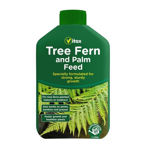Vitax tree fern palm - fern, &