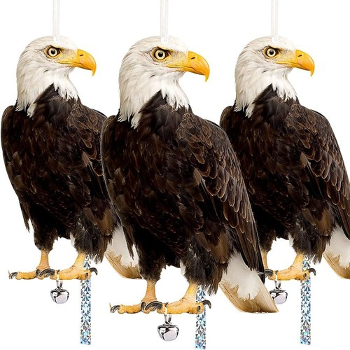 Pest control fake owl bird - pest,