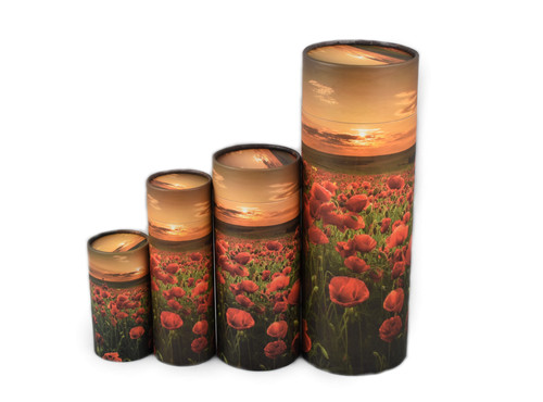 Scatter tube urn for ashes - for,