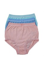 BRIEFS KNICKERS  LADIES PLUS