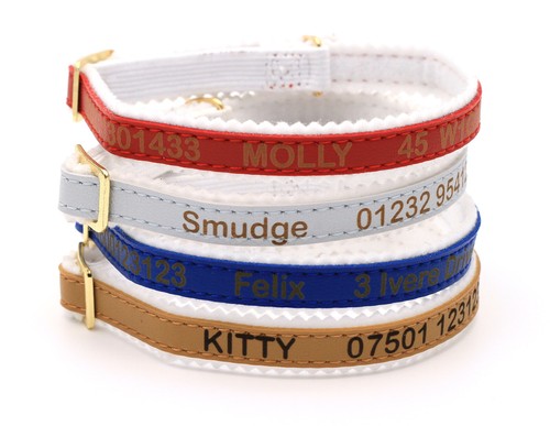 Personalised custom cat kitten - custom,