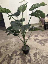 Faux Cheese Plant In Pot