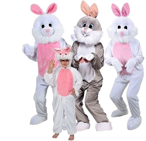 Funny bunny rabbit - funny,