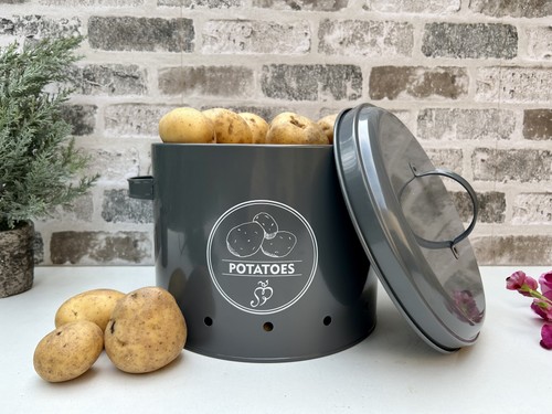 Grey potato storage - potato, tin