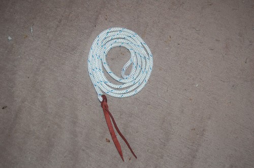 Training savvy string popper - training,