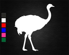 OSTRICH SAFARI ZOO ANIMAL