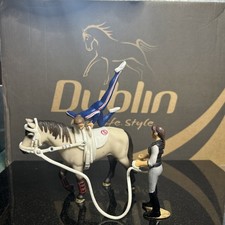 Retired Schielch Trained Horse With Vaulting Set