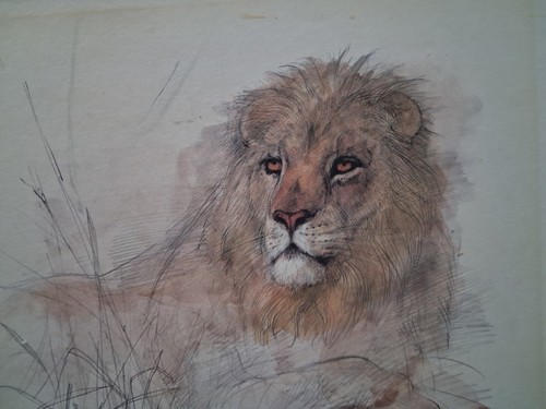 Lion print mads stage - lion, by