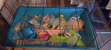Savic Hamster Heaven 80 Cage