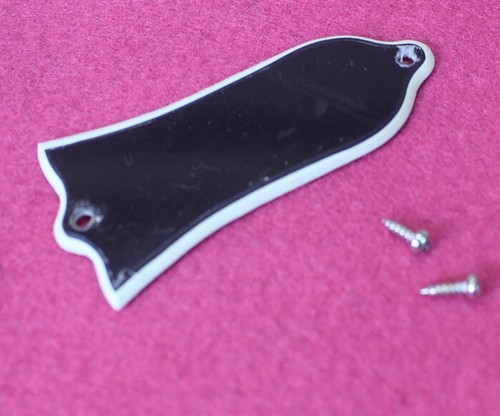 Wide bevel truss rod cover - cover, for
