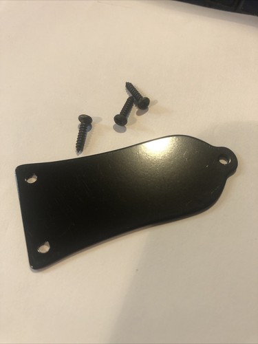 Black metal truss rod cover - truss,