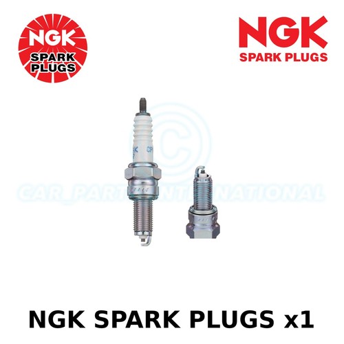 Ngk yellow box spark - box,