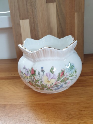 Aynsley china wild - wild, tudor