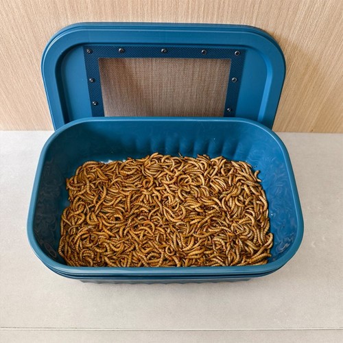 Mealworm feeding box - mealworm, 2-layer