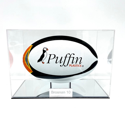 Rugby ball display - rugby,