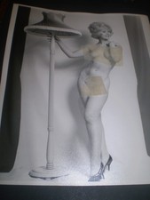 1960's original harrison marks model JAYNE TRACEY glamour  photograph  10 x 8