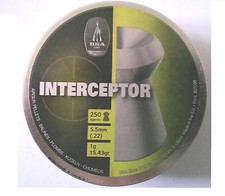 can 250 BSA Interceptor .22