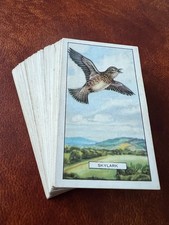 Gallaher Cigarette Cards Full