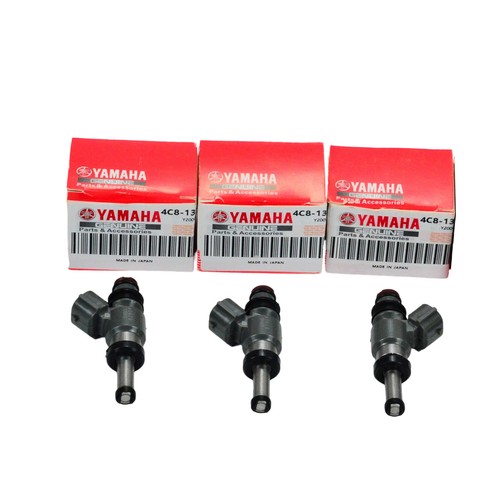 Fuel injector for - fuel,