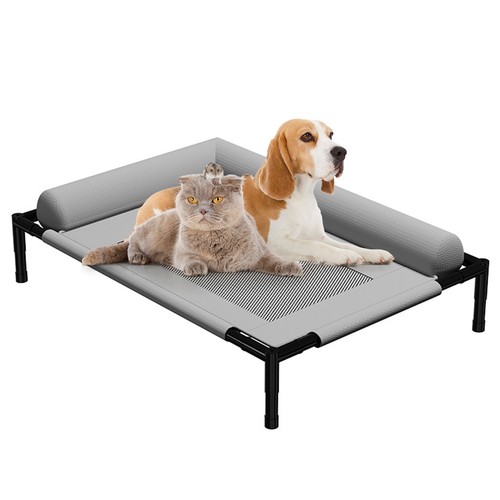 Raised mesh cooling dog - raised,
