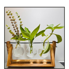 Plant Propagation Station