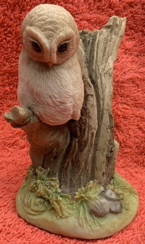Teviotdale scotland owl - scotland,