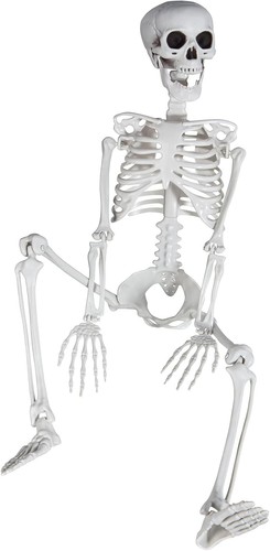 3ft 36inch skeleton - 3ft/36inch, for