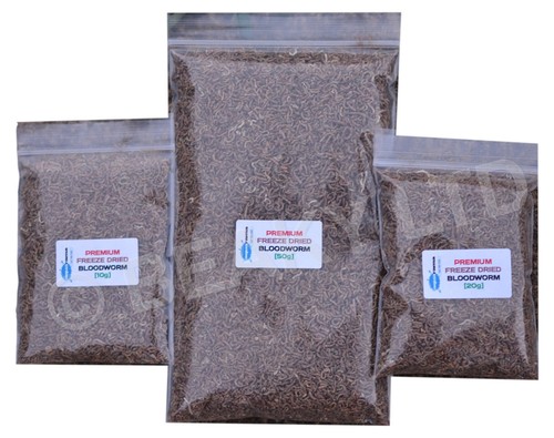 Dried bloodworm tropical - dried,