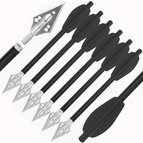 24x aluminum short - 24x, arrow