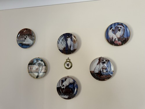Set siamese cat collector - set, 6