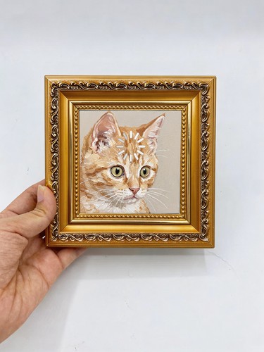 Orange tabby cat - cat, neutral